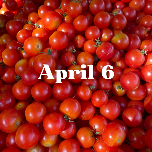 April 6th Meal Delivery