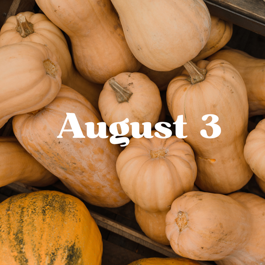 August 3 Meal Delivery