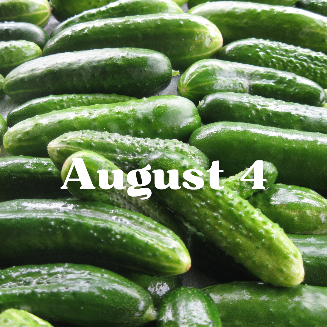 August 4th Meal Delivery