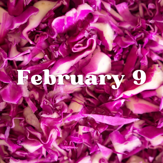 February 9th Meal Delivery