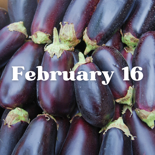 February 16th Meal Delivery