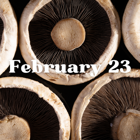 February 23rd Meal Delivery