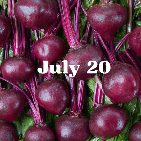 July 20 Meal Delivery