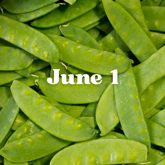 June 1 Meal Delivery