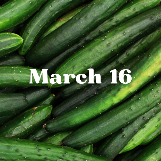 March 16th Meal Delivery