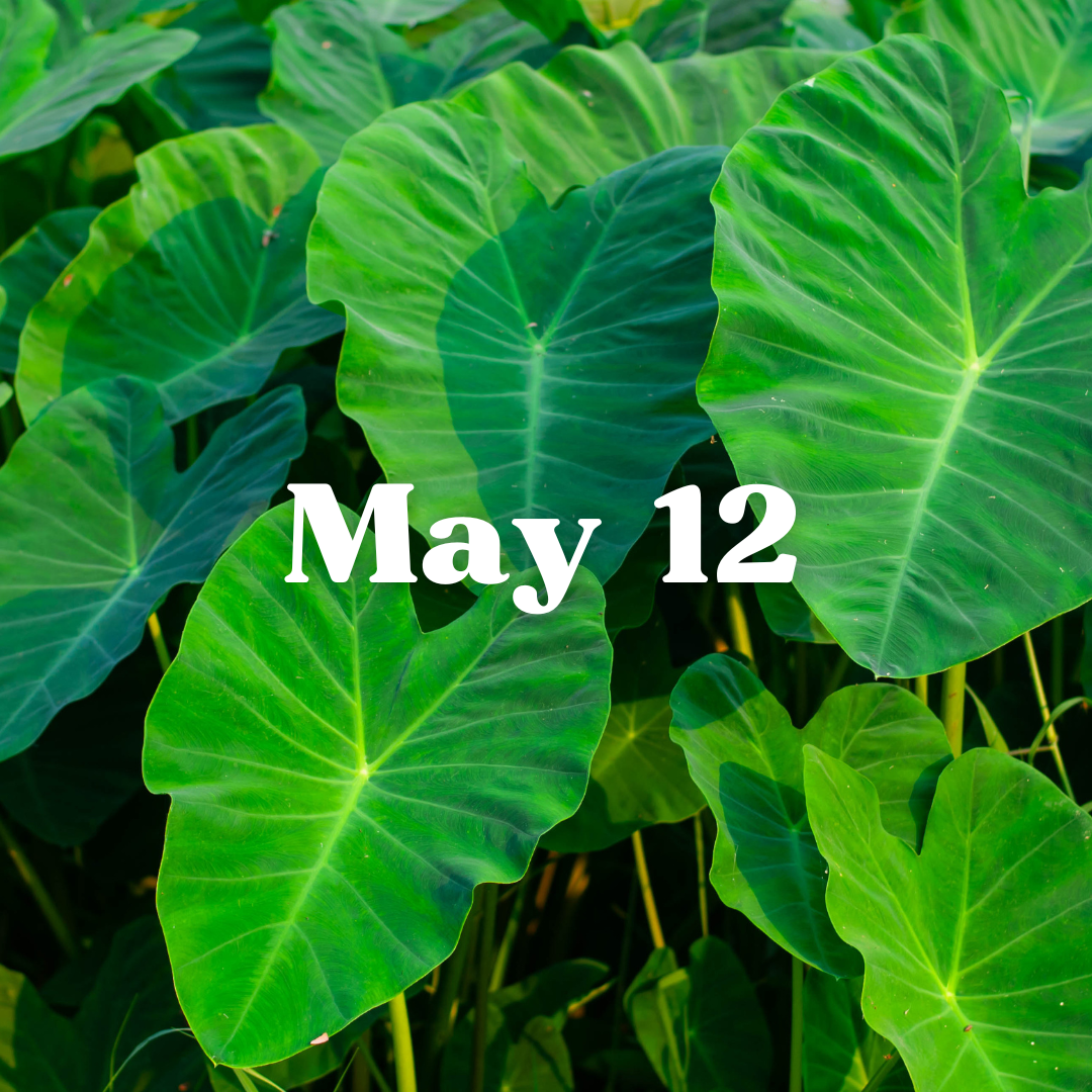 May 12 Meal Delivery