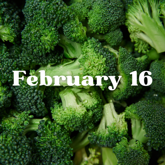 February 16th Meal Delivery