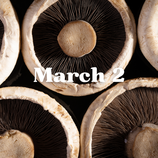 March 2nd Meal Delivery