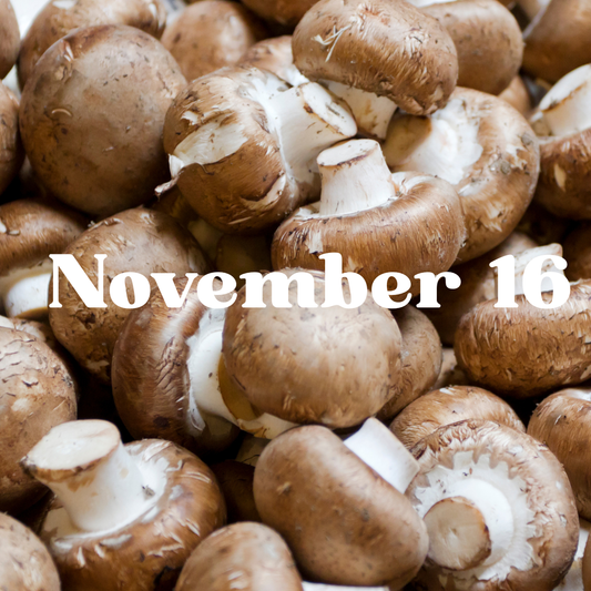 November 16 Meal Delivery
