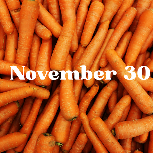 November 30 Meal Delivery
