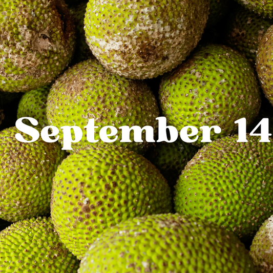 September 14 Meal Delivery