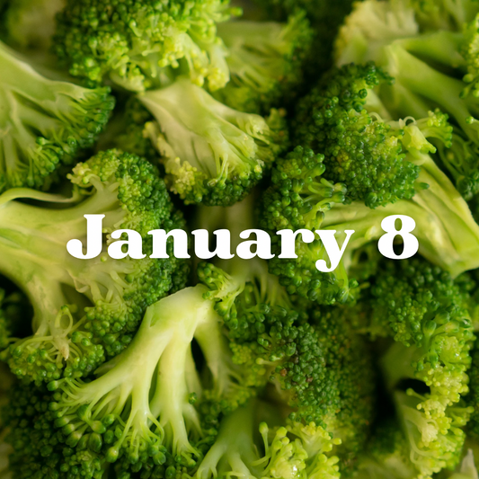 January 8 Meal Delivery