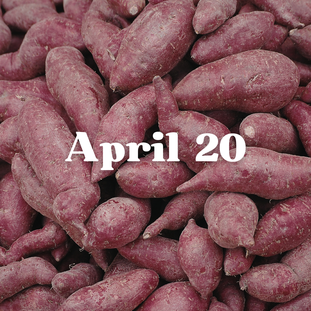 April 20th Meal Delivery