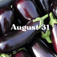 August 31 Meal Delivery