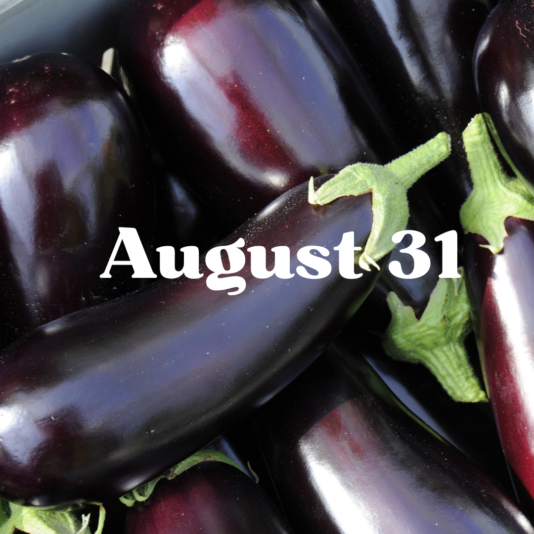 August 31 Meal Delivery