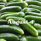 August 4th Meal Delivery