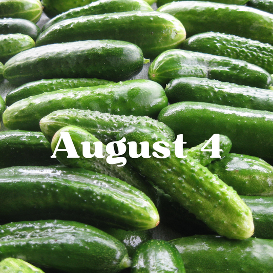August 4th Meal Delivery