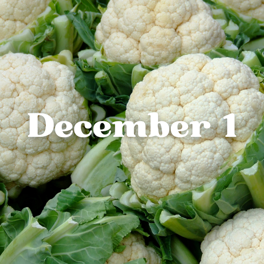 December 1st Meal Delivery