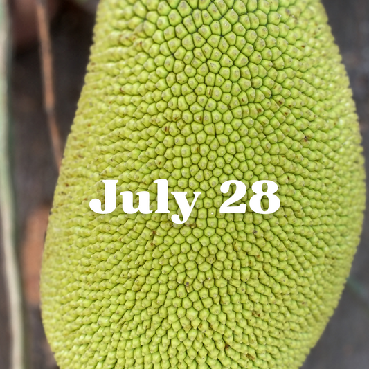July 28th Meal Delivery