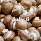 July 6 Meal Delivery