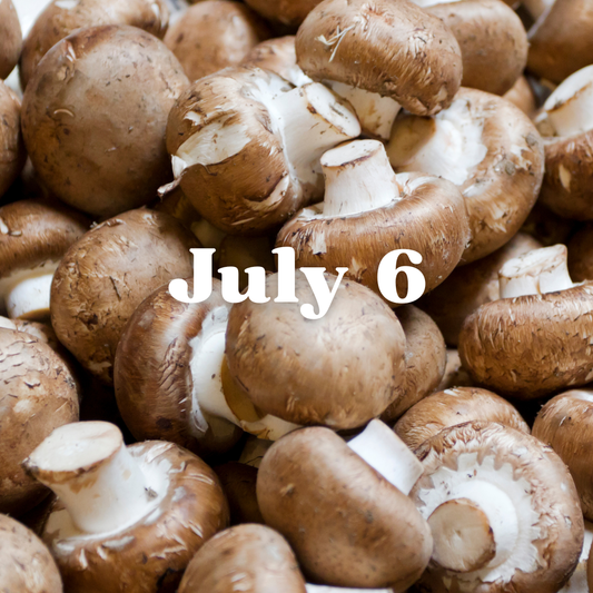 July 6 Meal Delivery