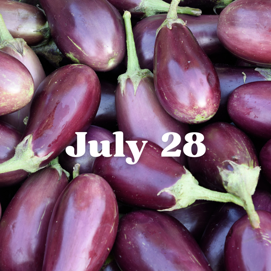 July 28th Meal Delivery