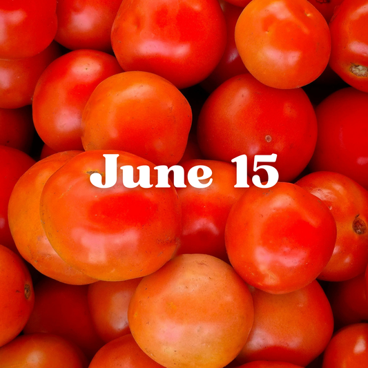 June 15 Meal Delivery