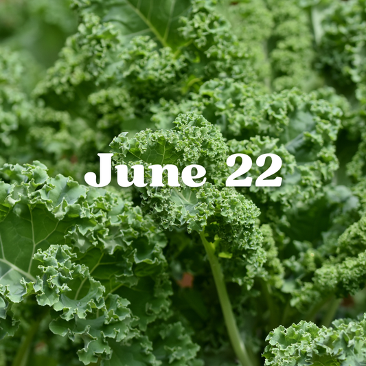 June 22 Meal Delivery