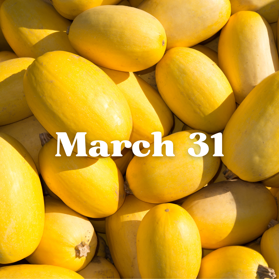 March 31 Meal Delivery