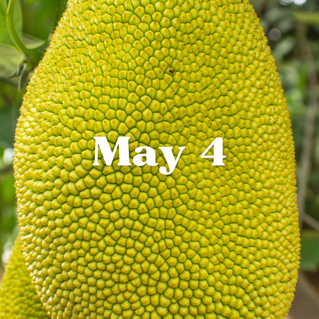 May 4th Meal Delivery