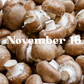 November 16 Meal Delivery