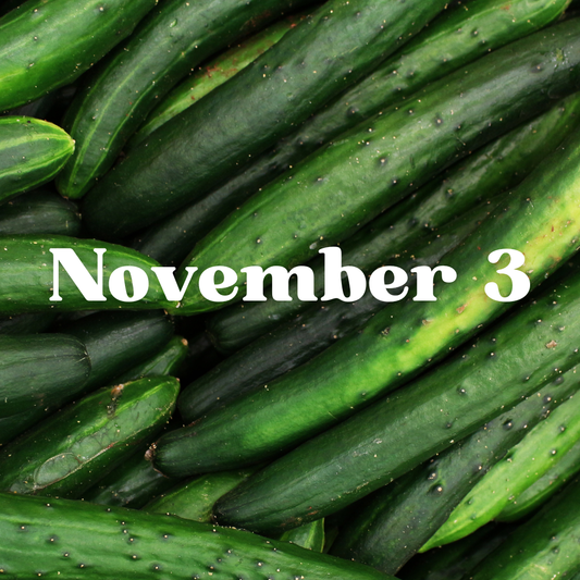 November 3rd Meal Delivery