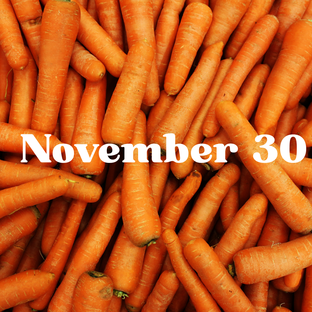 November 30 Meal Delivery
