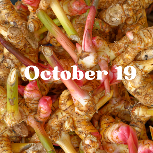 October 19 Meal Delivery