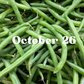 October 26 Meal Delivery