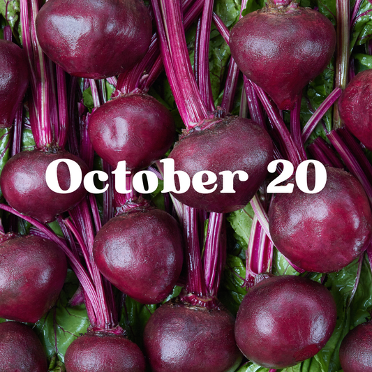 October 20th Meal Delivery