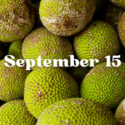 September 15th Meal Delivery