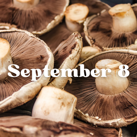 September 8th Meal Delivery