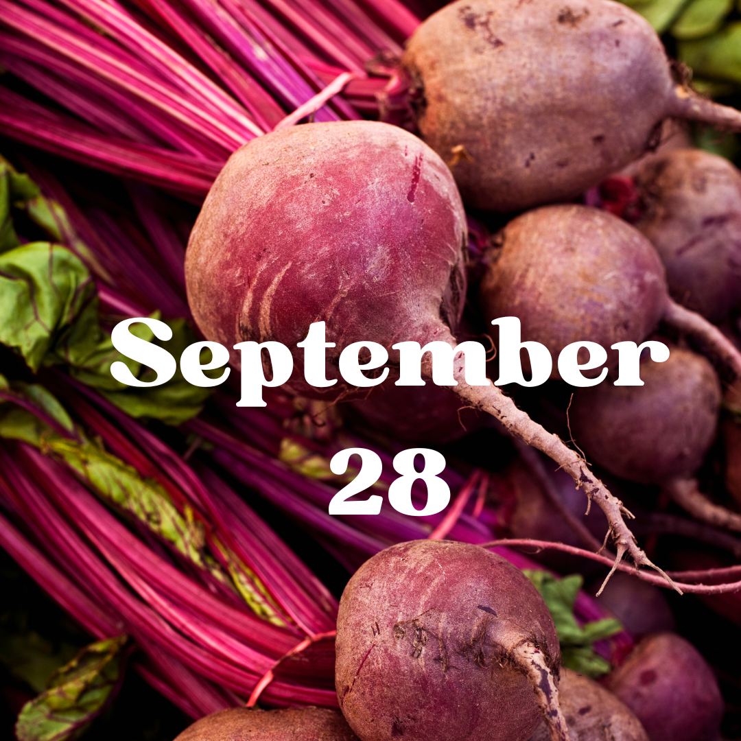 September 28 Meal Delivery